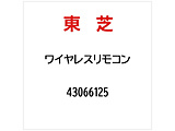 �摜