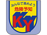 �摜