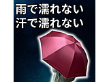 �摜