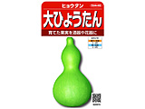 �摜