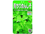 �摜
