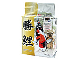 �摜
