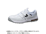 �摜