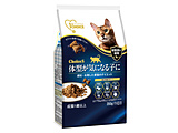 �摜