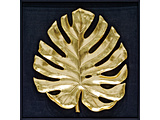 �摜